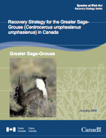 20080100_sagegrouserecoverystrategy.png