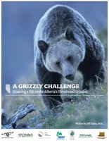 20100527_ma_engos_grizzly_challenge_release.jpg