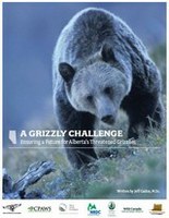 20100528_nr_engos_grizzly_challenge_release.jpg