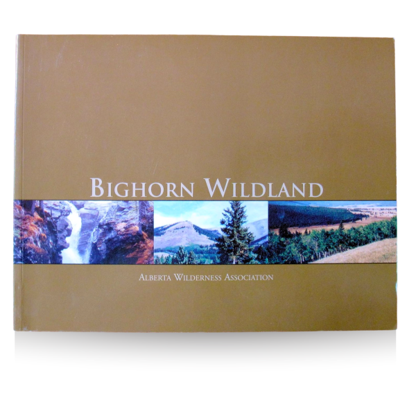 Bighorn Wildland Book