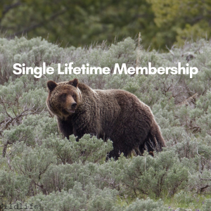 Single Lifetime Membership