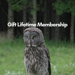 Gift Lifetime Membership