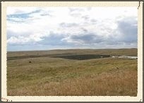 20141102_aa_grasslands_mrr_hr.jpg