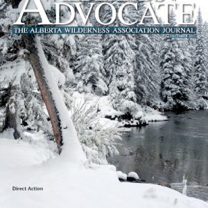 Wild Lands Advocate