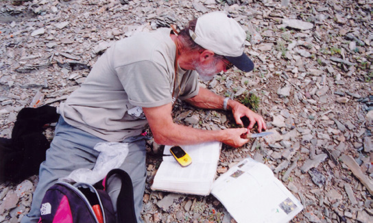 Providing the location of cushion townsendia during a rare plant survey. Photo: C. Olson.