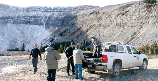 Plateau Mountain - Alberta Wilderness Association