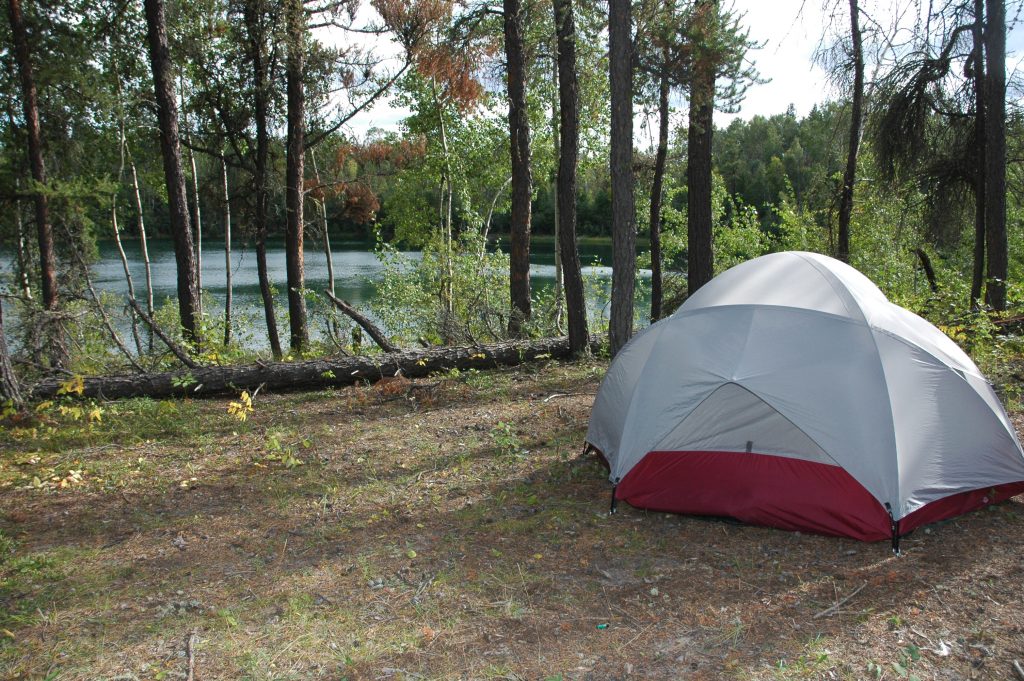 Memorable McClelland Lake Wetlands - Alberta Wilderness Association