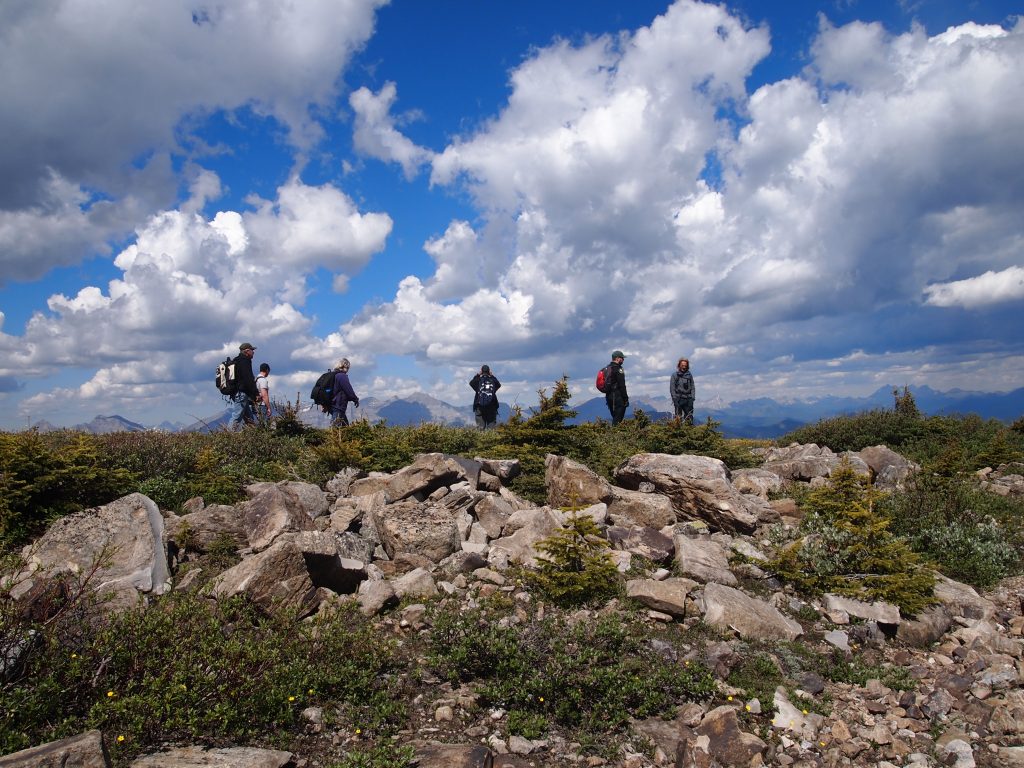 20160628_plateau_volunteers_ajohancsik