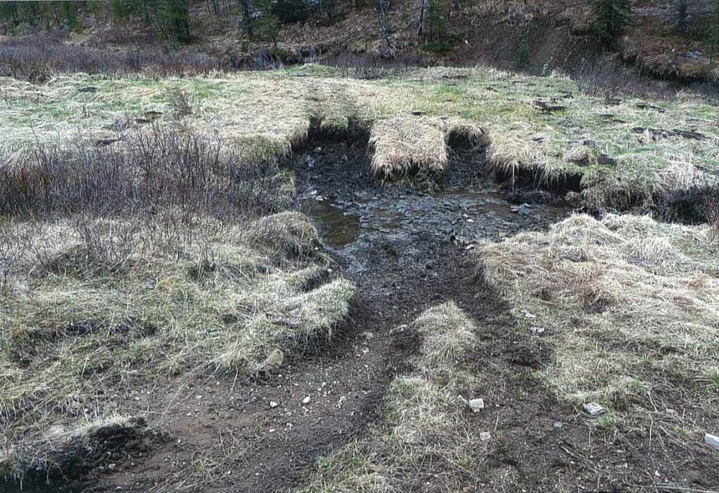 20160501_bob_creek_wildland_ohv_damage3_wendyryan