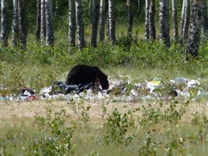 20150211_whowse_public_lands_garbage