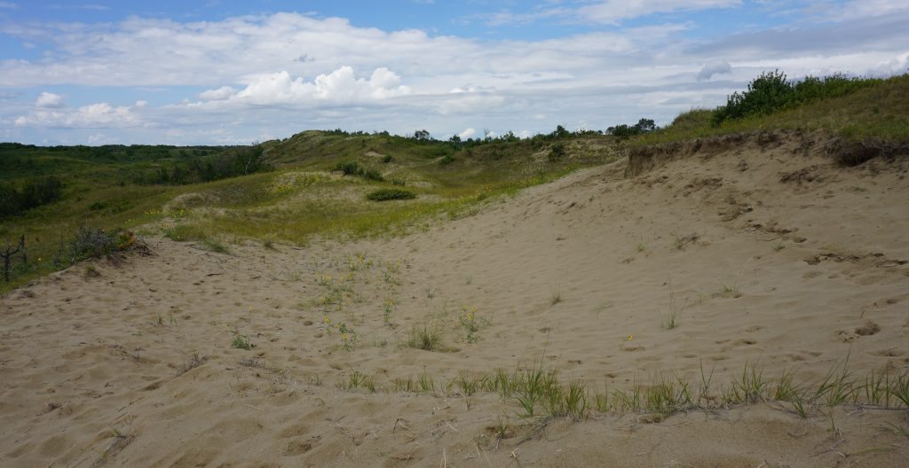 Wainwright Dunes Wildlife Friendly Fencing - Alberta Wilderness Association