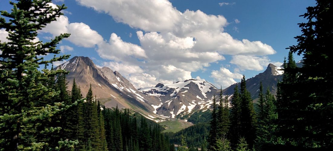 Kananaskis Alberta Wilderness Association