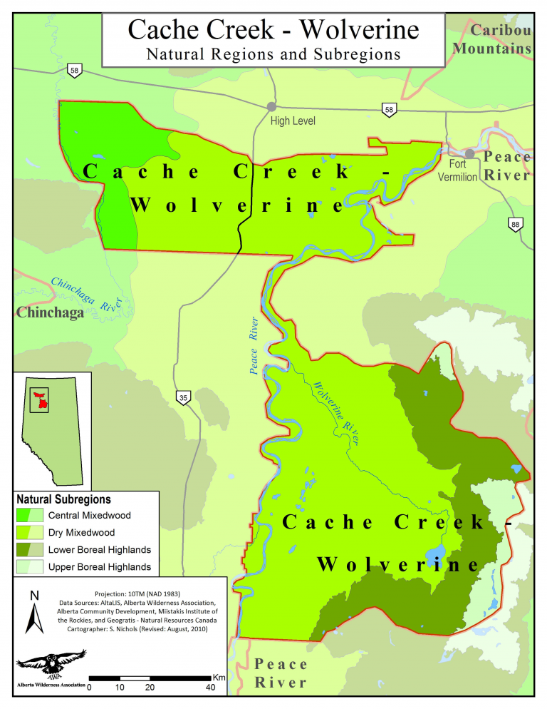 Cache Creek-Wolverine - Alberta Wilderness Association