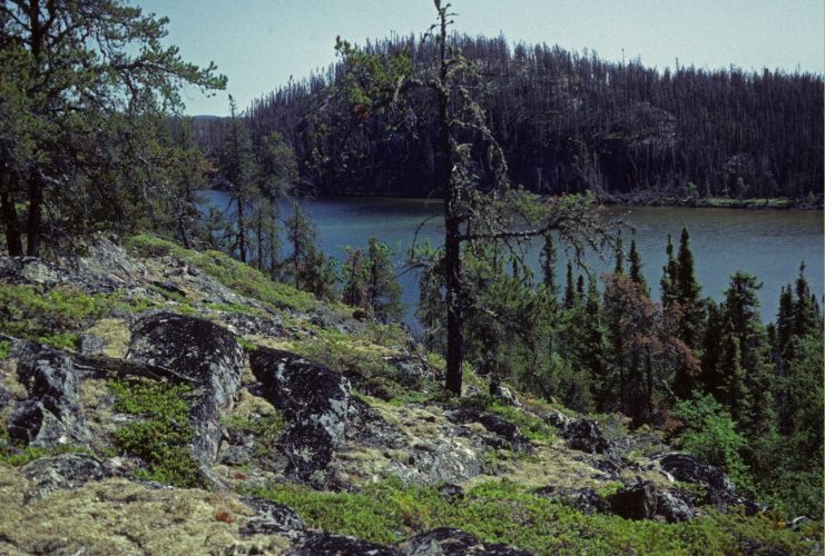 wylielake_cwallis - Alberta Wilderness Association