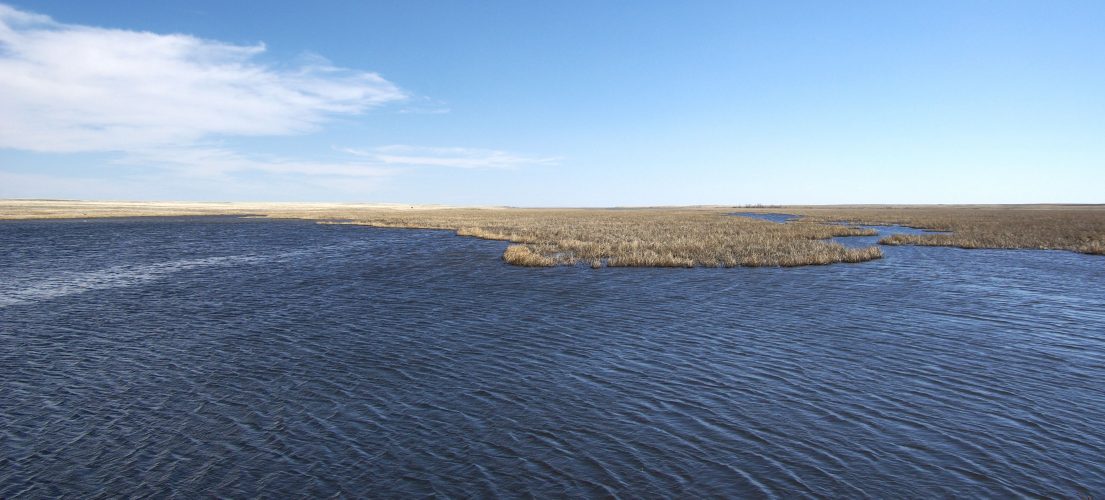 Pakowki Lake - Alberta Wilderness Association