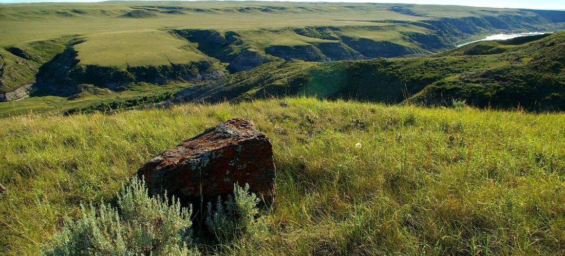 Grasslands Alberta Wilderness Association 7973