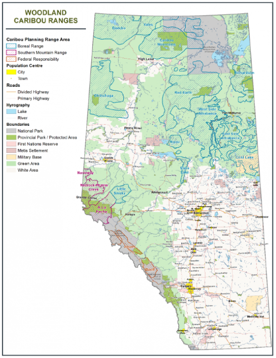 Caribou - Alberta Wilderness Association