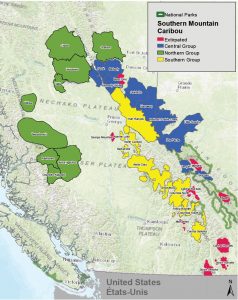 Official Extirpation of Maligne caribou in Jasper National Park. Map Source: Parks Canada, Sept. 2020.