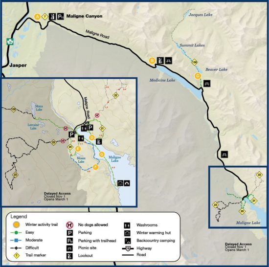 Where is Parks Canada’s Plan for Jasper’s Disappearing Caribou ...