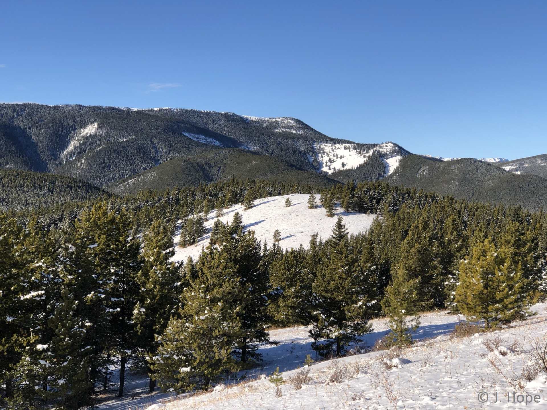 Park protections staying in place - Alberta Wilderness Association