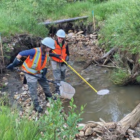 Creating a Silver Lining Out of Disaster? - Alberta Wilderness Association