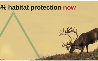 Engagement Guide for the Upper Smoky Sub-regional Plan Survey