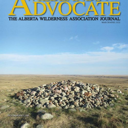 Home - Alberta Wilderness Association