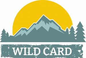 Wild Card Icon