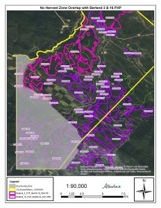 Map 2: Temporary ‘No Harvest Zone’ (shaded gray) in Moon Creek Area of West Fraser Hinton Forestry Tenure. Map Source: Government of Alberta, November 2021. 