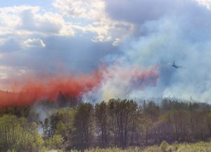 Wildfire near Cochrane, Ab and Morley, Ab