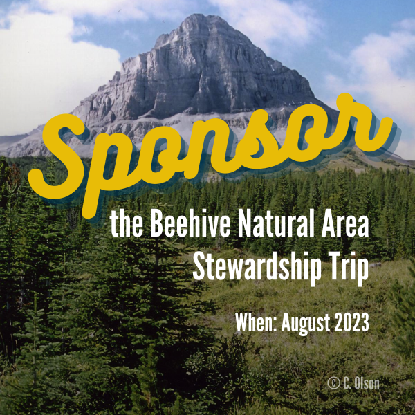Beehive sponsorship