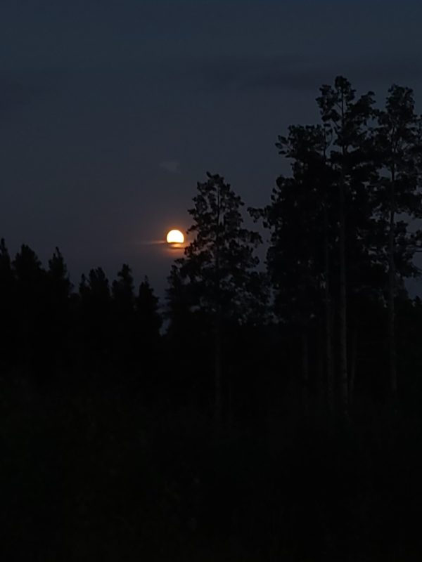 Adventures for Wilderness - Full Moon Hike