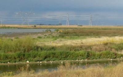 AUC seeking comments on Rule 007: Facility applications