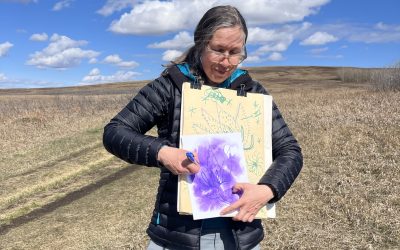 Nose Hill Youth Sketching Adventure