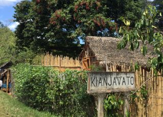 To Madagascar and Back: How my time studying lemurs — and the challenges that came with it — shaped me as a conservation specialist