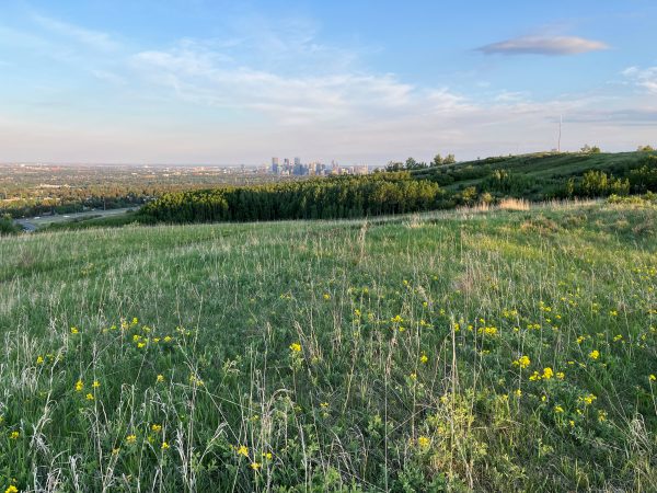Adventure for Wilderness - Nose Hill Geology and Nature