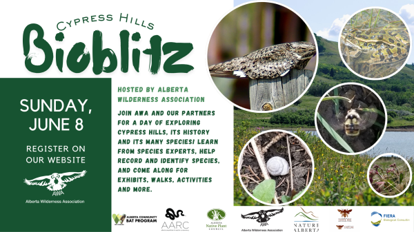 Cypress Hills Bioblitz - Citizen Day!